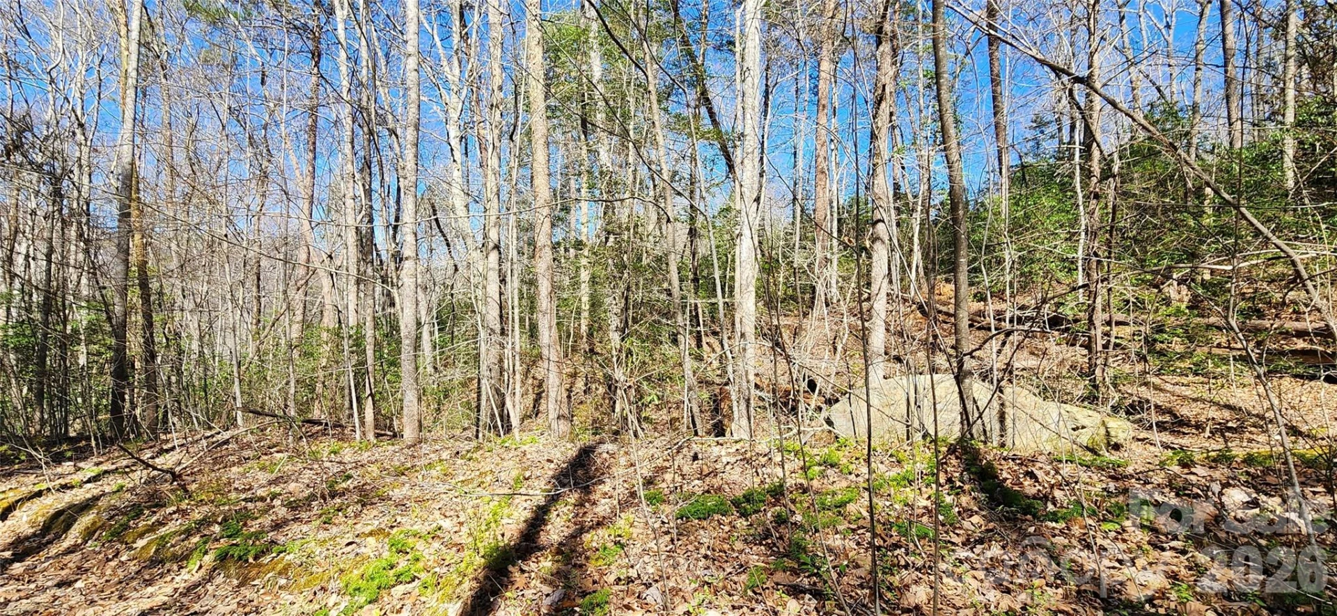 0 Buffalo Creek Road #74 - Photo 16