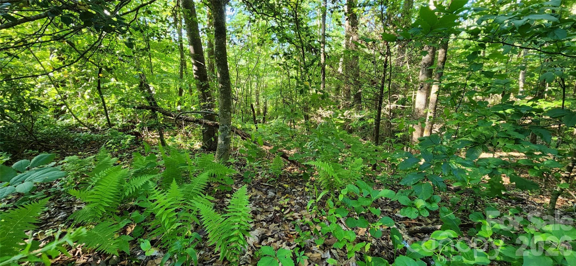 0 Buffalo Creek Road #74 - Photo 33