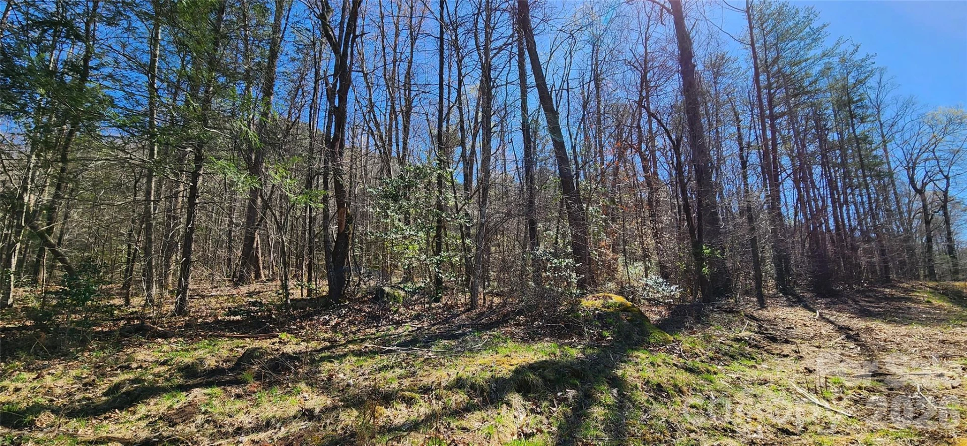 0 Buffalo Creek Road #74 - Photo 18