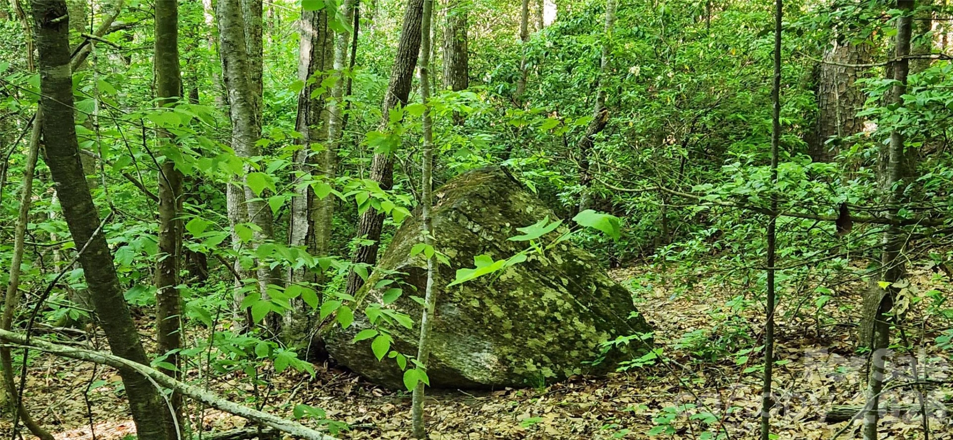 0 Buffalo Creek Road #74 - Photo 36