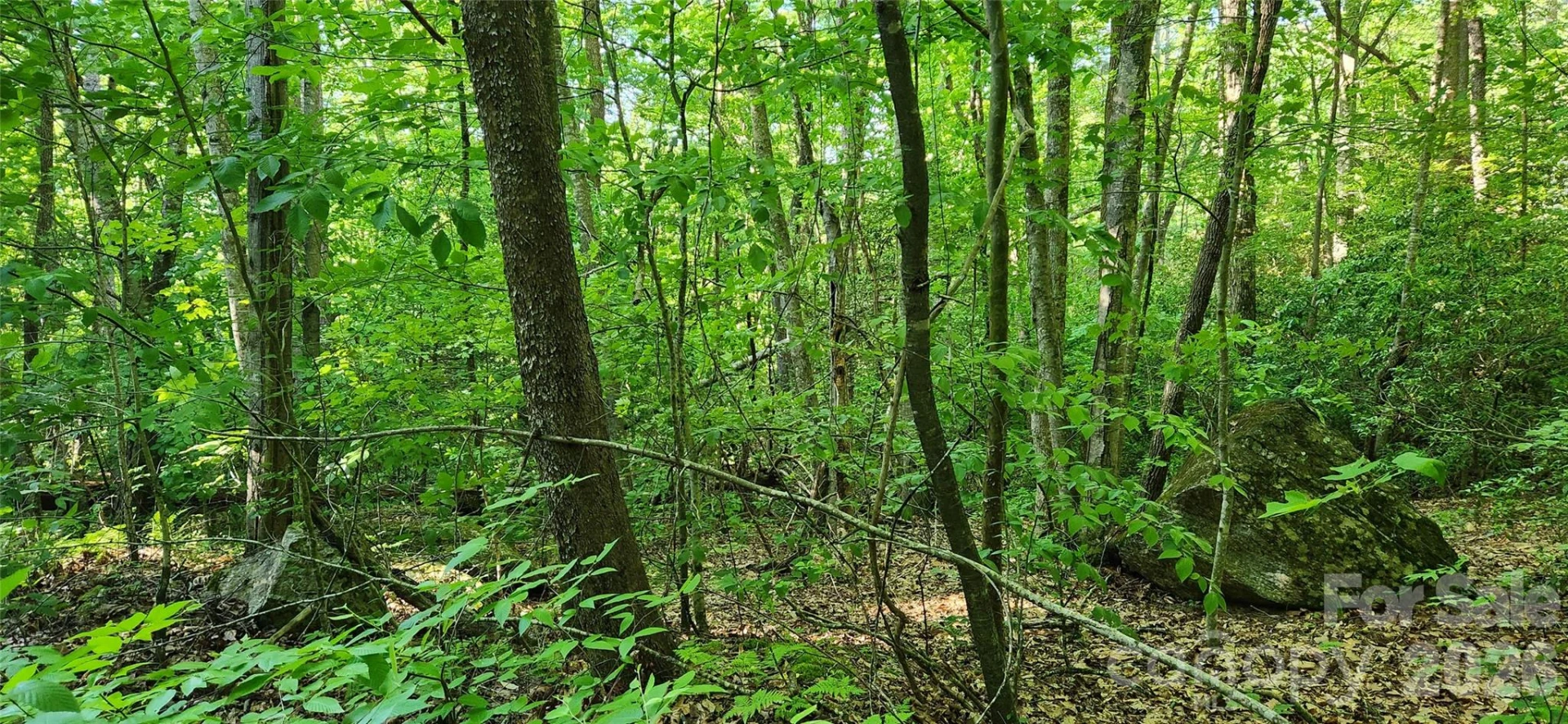 0 Buffalo Creek Road #74 - Photo 38