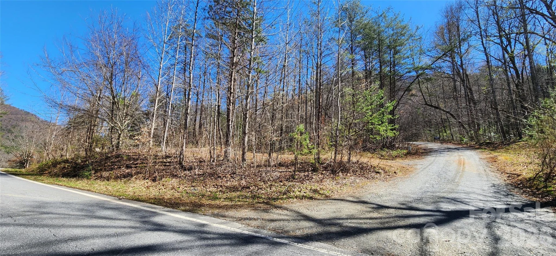 0 Buffalo Creek Road #74 - Photo 3