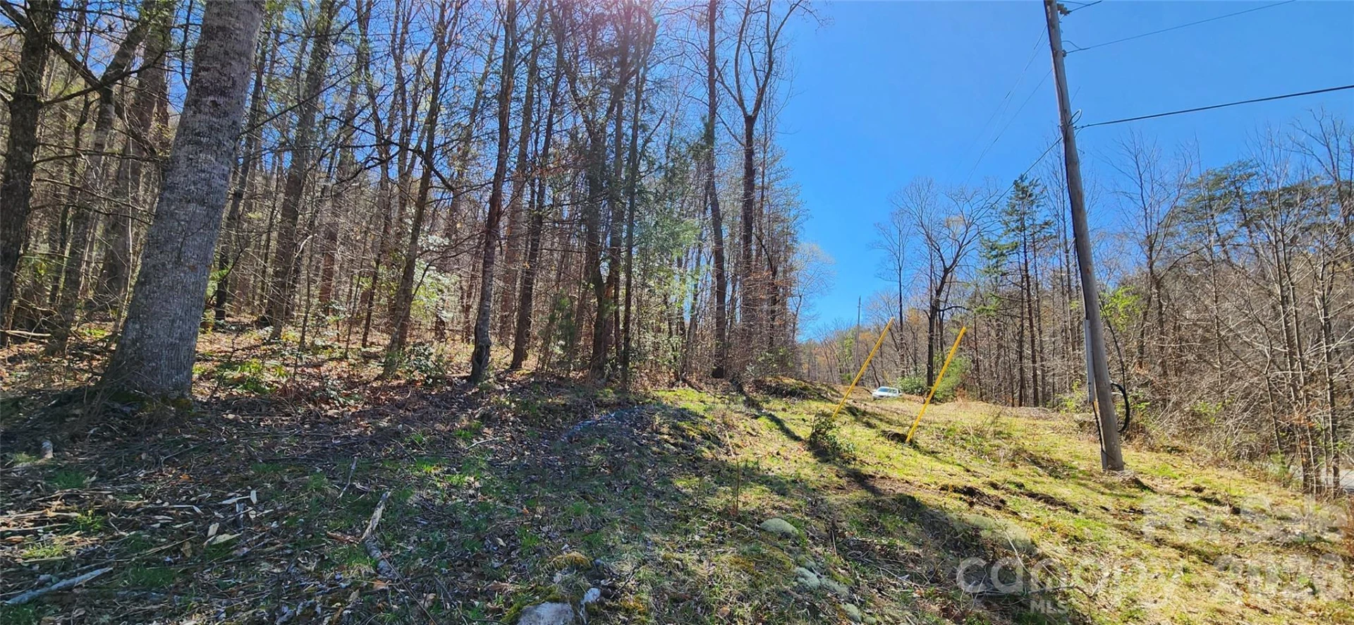 0 Buffalo Creek Road #74 - Photo 6