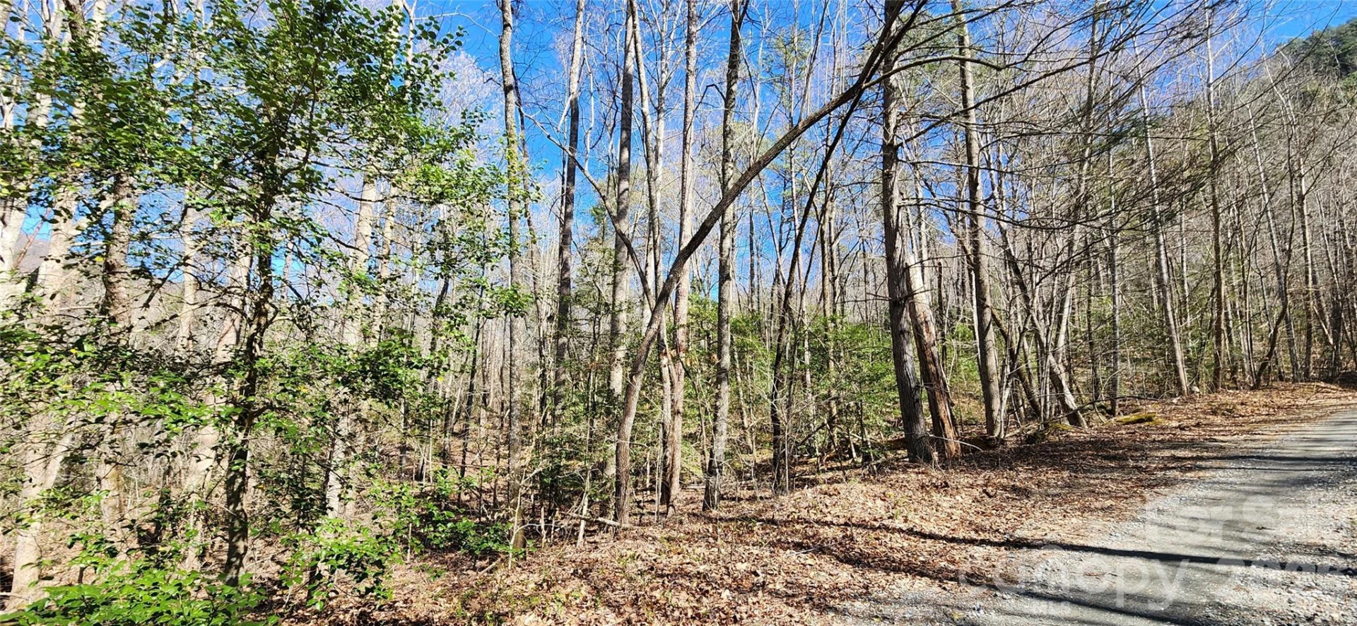 0 Buffalo Creek Road #74 - Photo 26
