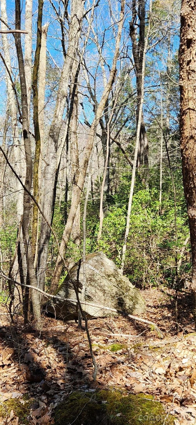 0 Buffalo Creek Road #74 - Photo 37