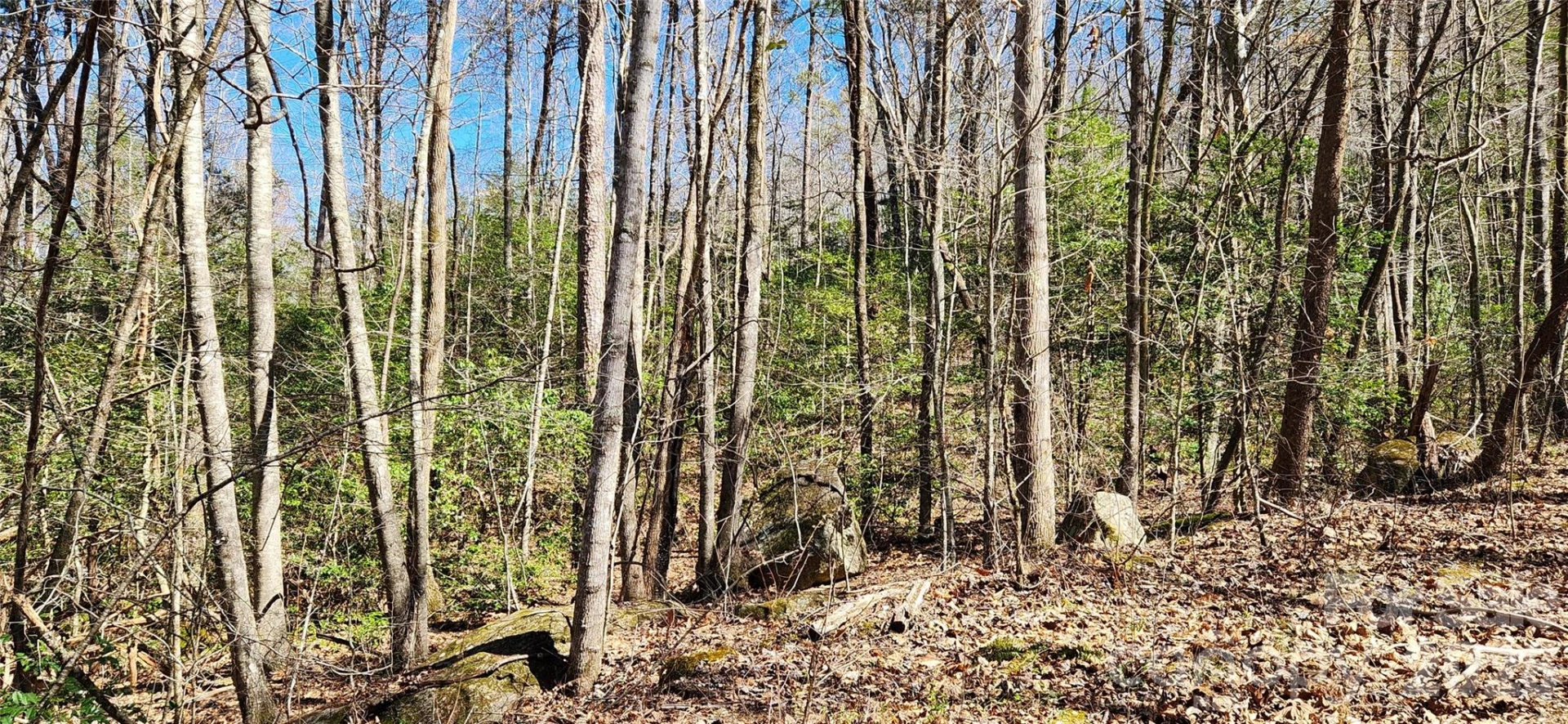 0 Buffalo Creek Road #74 - Photo 39
