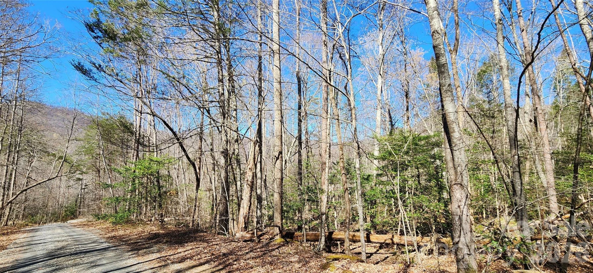 0 Buffalo Creek Road #74 - Photo 40