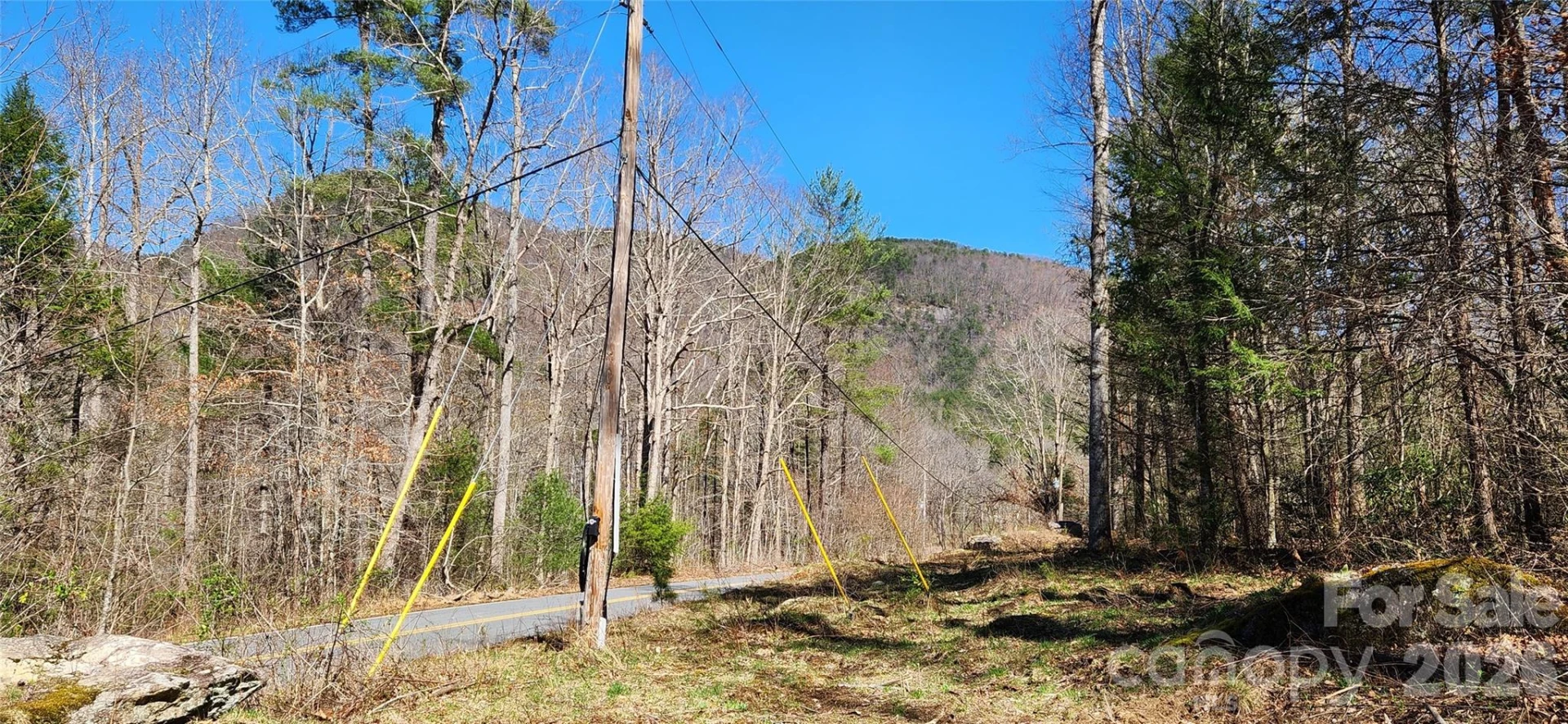 0 Buffalo Creek Road #74 - Photo 5