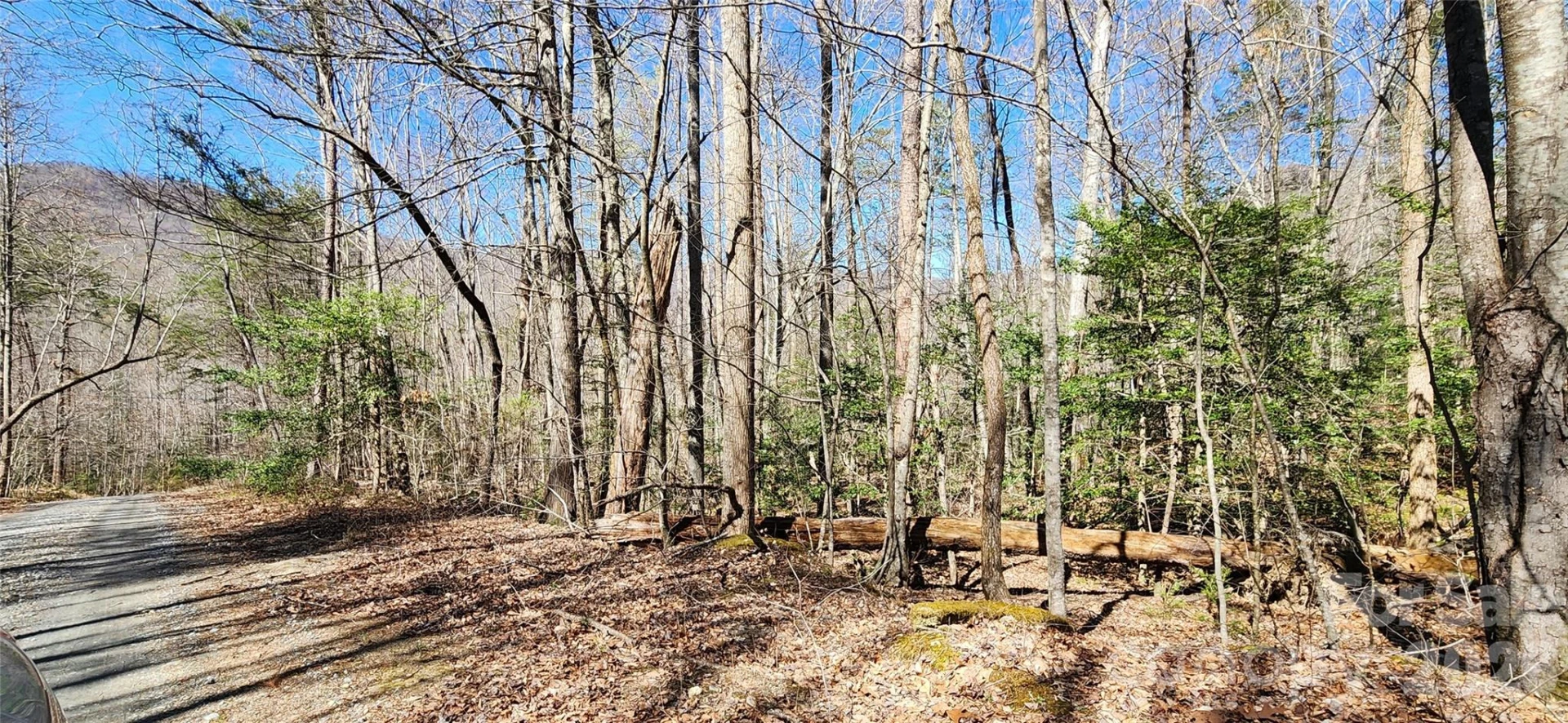 0 Buffalo Creek Road #74 - Photo 42