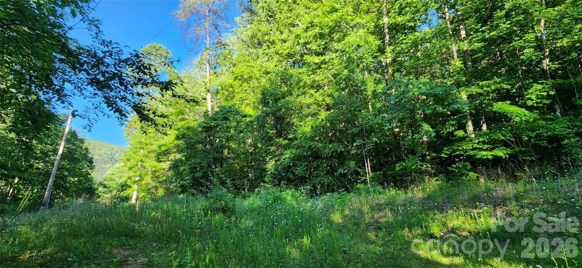 0 Buffalo Creek Road #74 - Photo 12