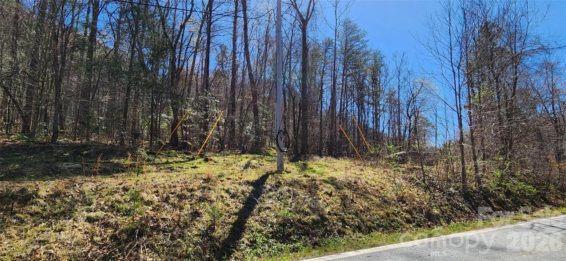 0 Buffalo Creek Road #74 - Photo 7