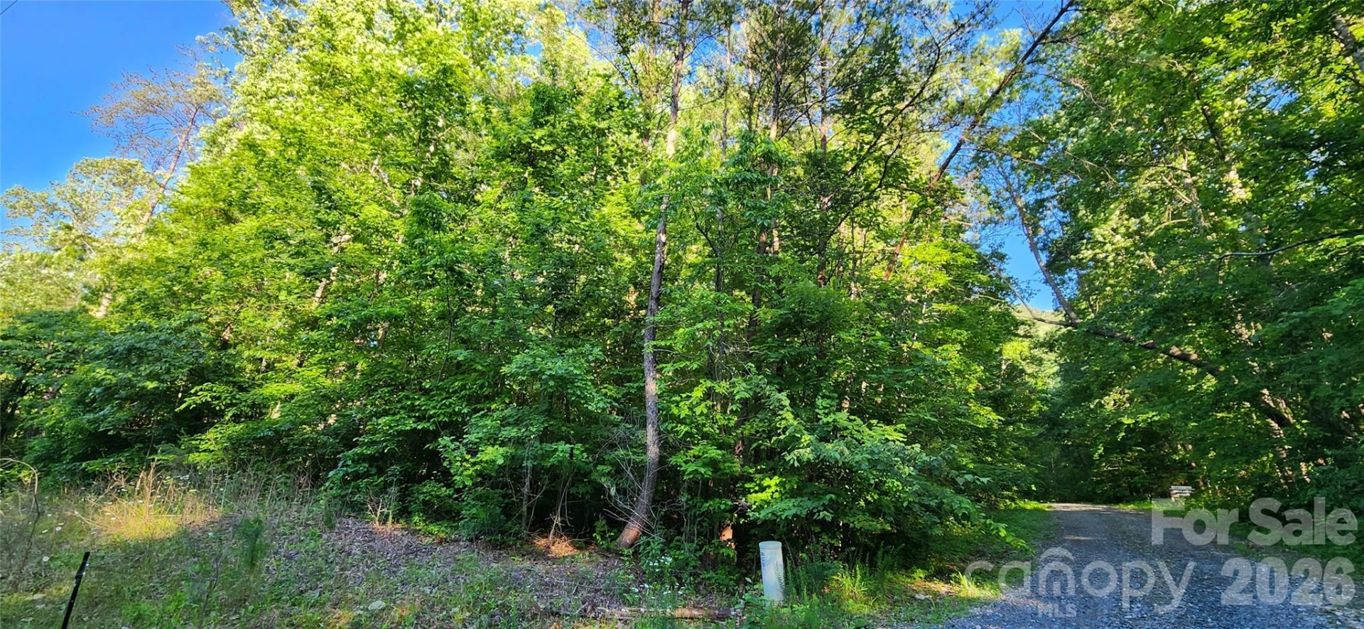 0 Buffalo Creek Road #74 - Photo 15