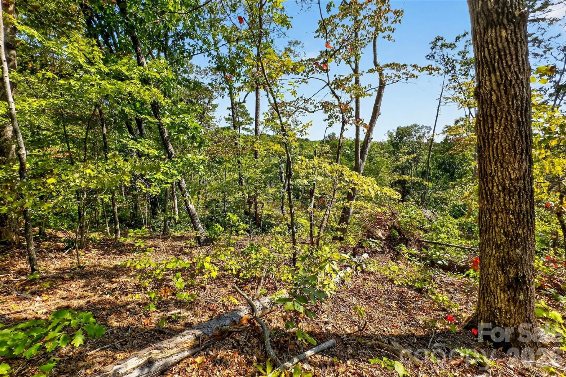 366 Boland Drive - Photo 12
