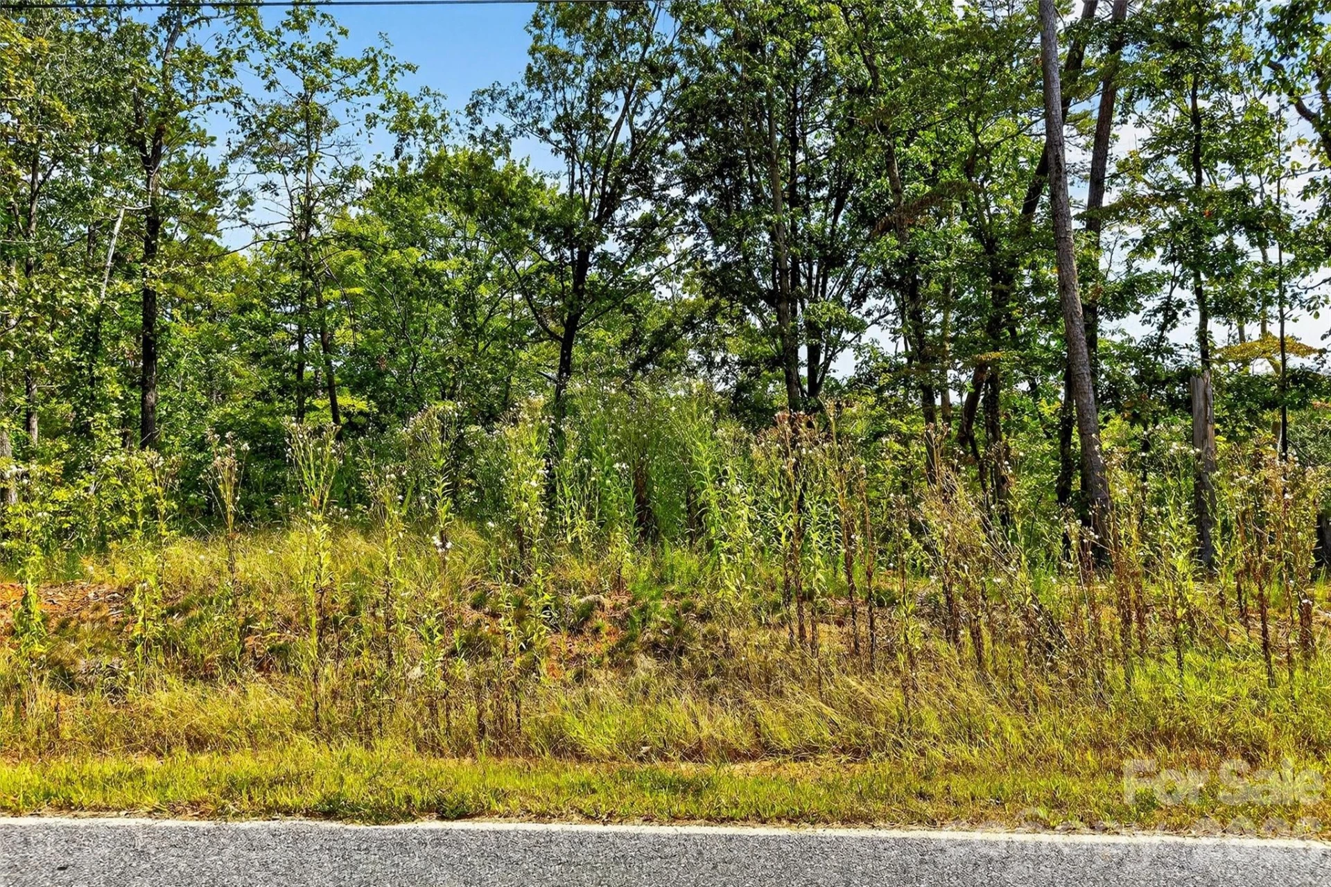 366 Boland Drive - Photo 16