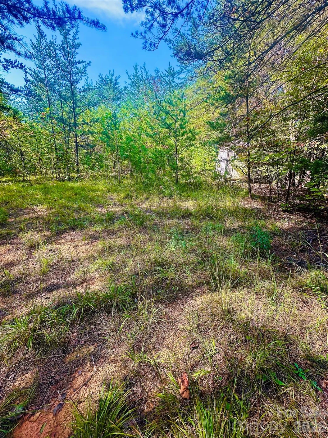 366 Boland Drive - Photo 6