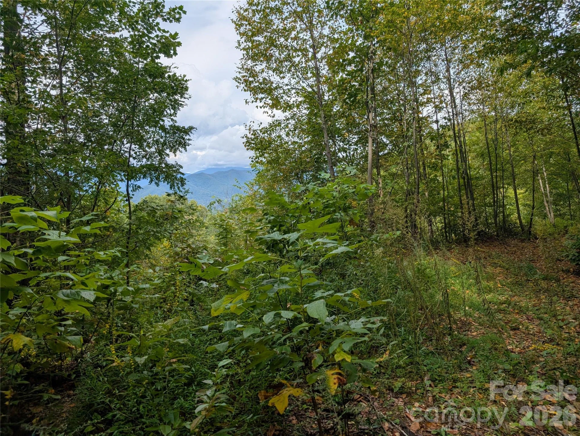 97 Settings Boulevard - Photo 9