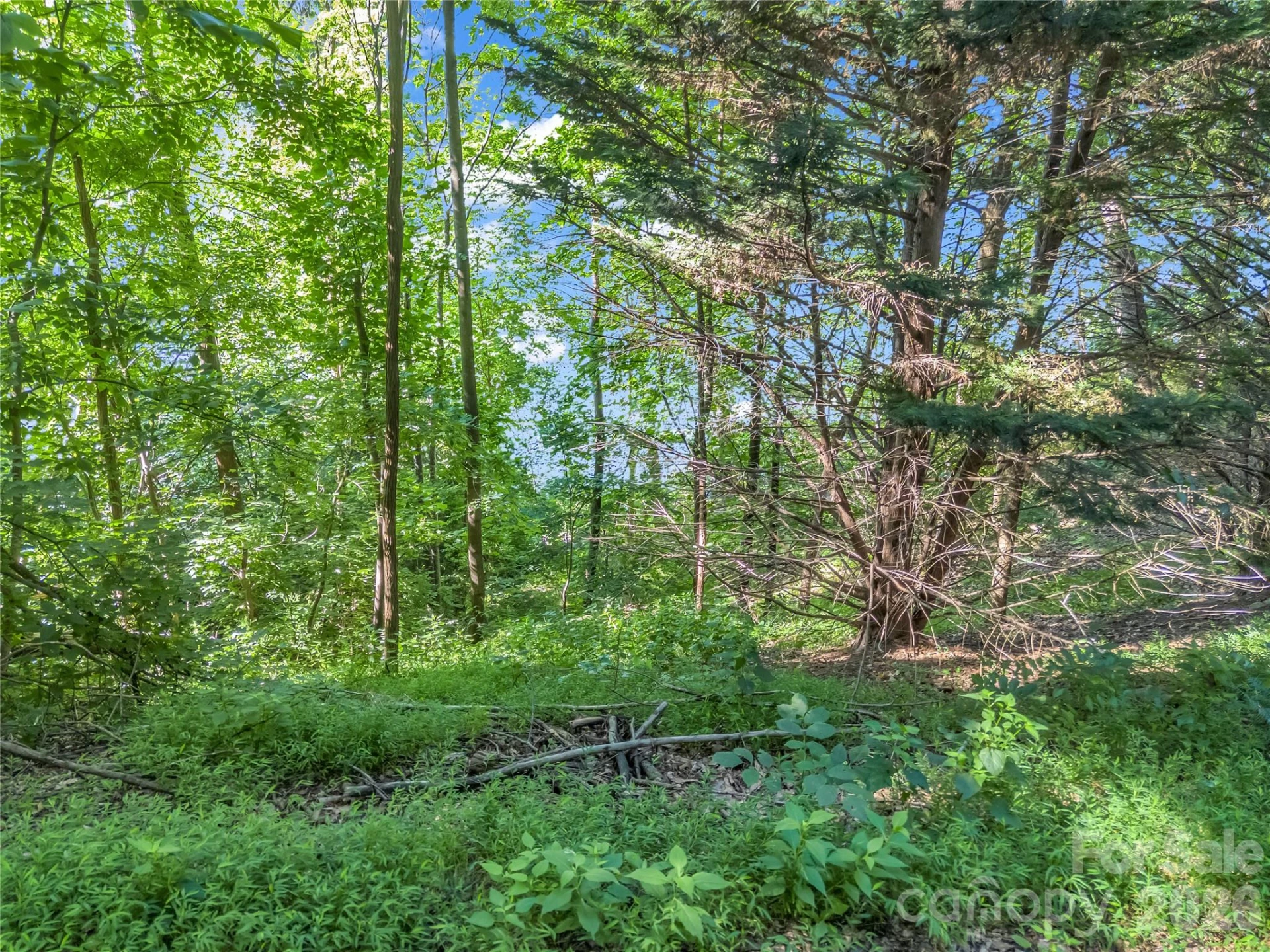 0 Chapel Point Road #14 - Photo 23