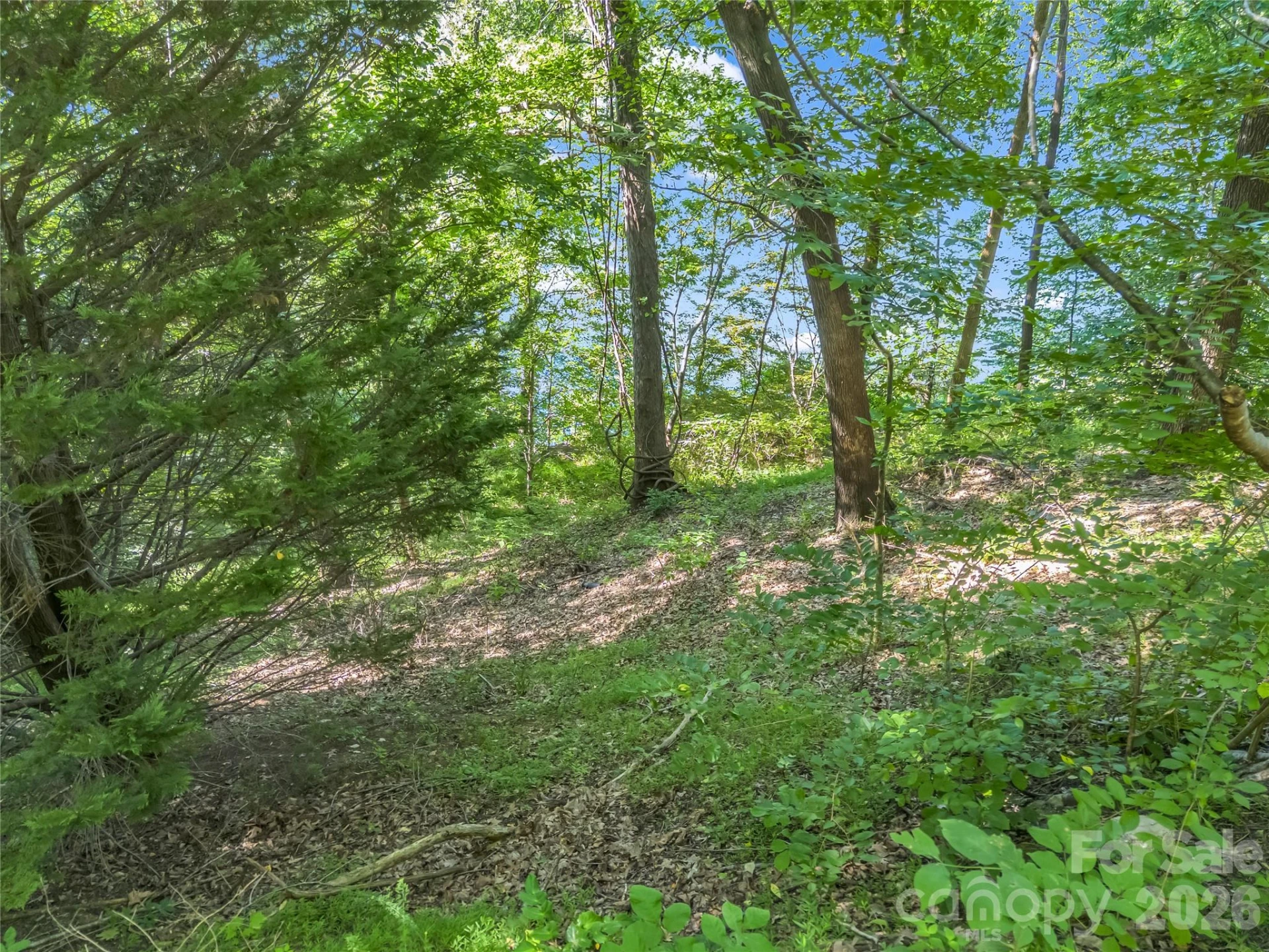 0 Chapel Point Road #14 - Photo 25