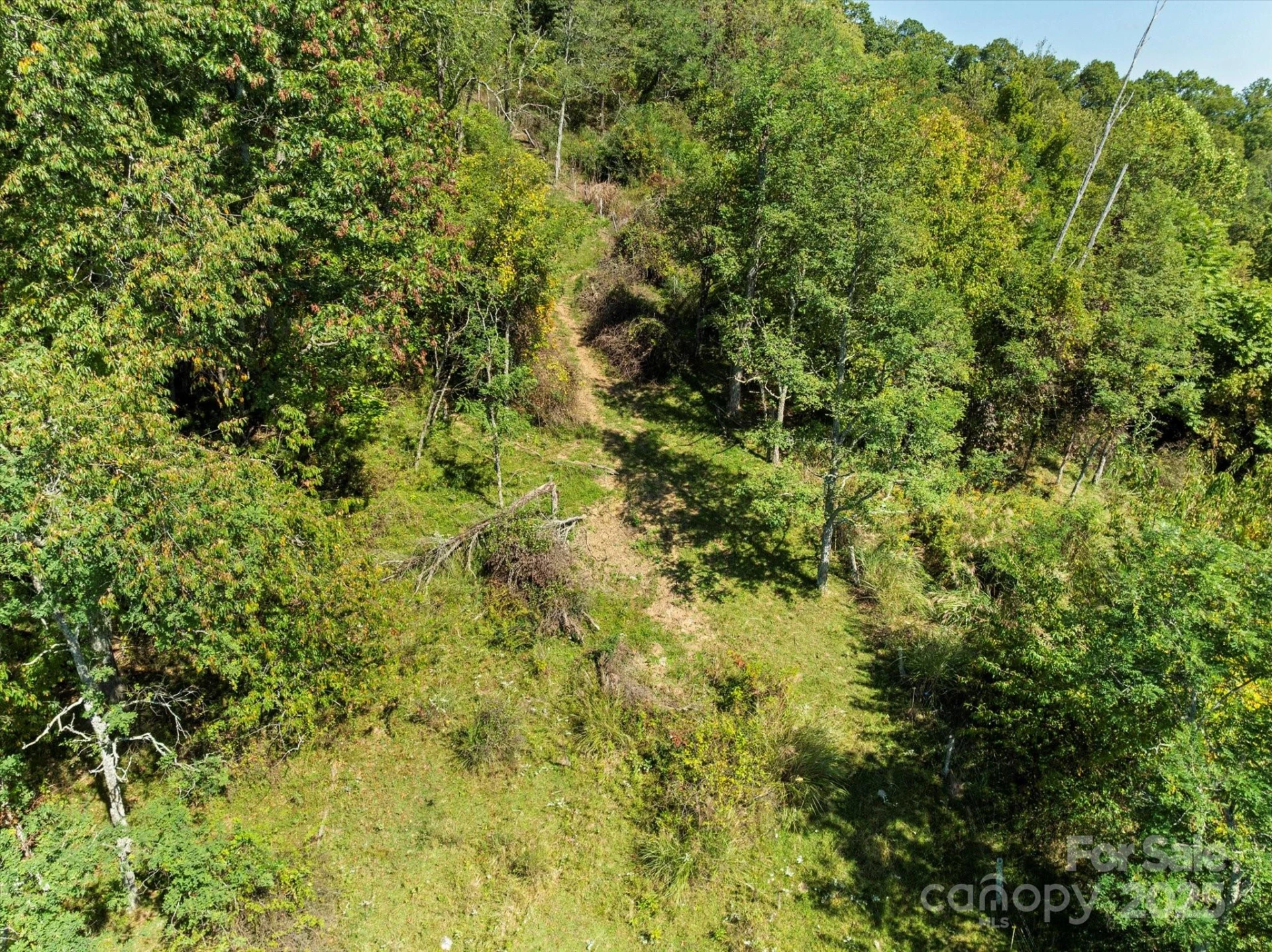 1623 Ammons Branch Road - Photo 13