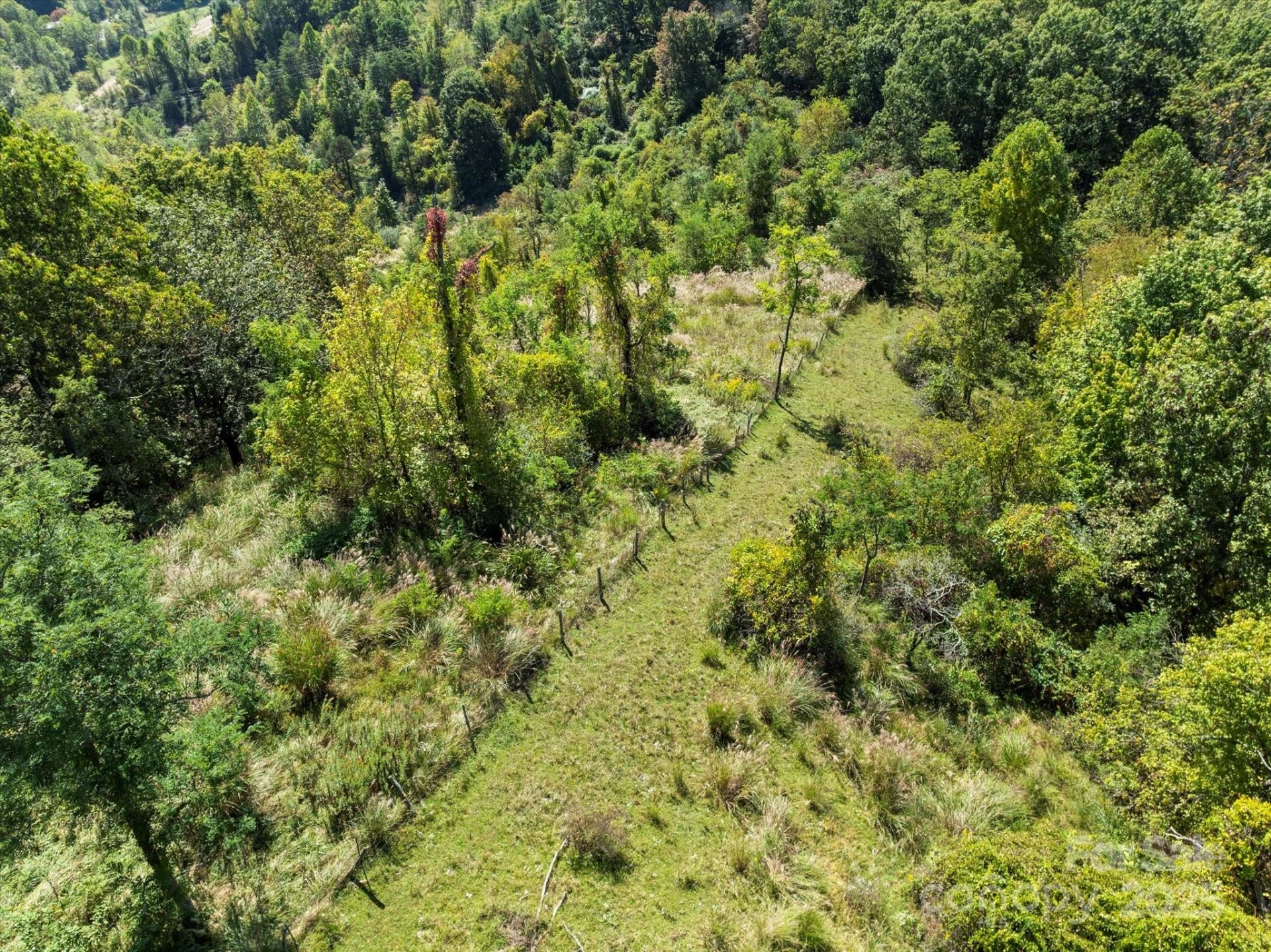 1623 Ammons Branch Road - Photo 14