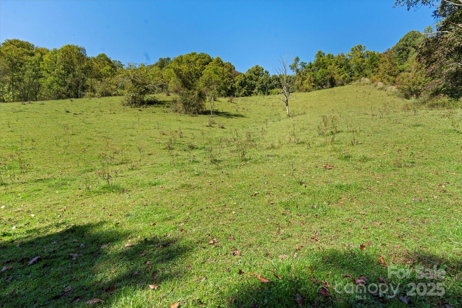 1623 Ammons Branch Road - Photo 15