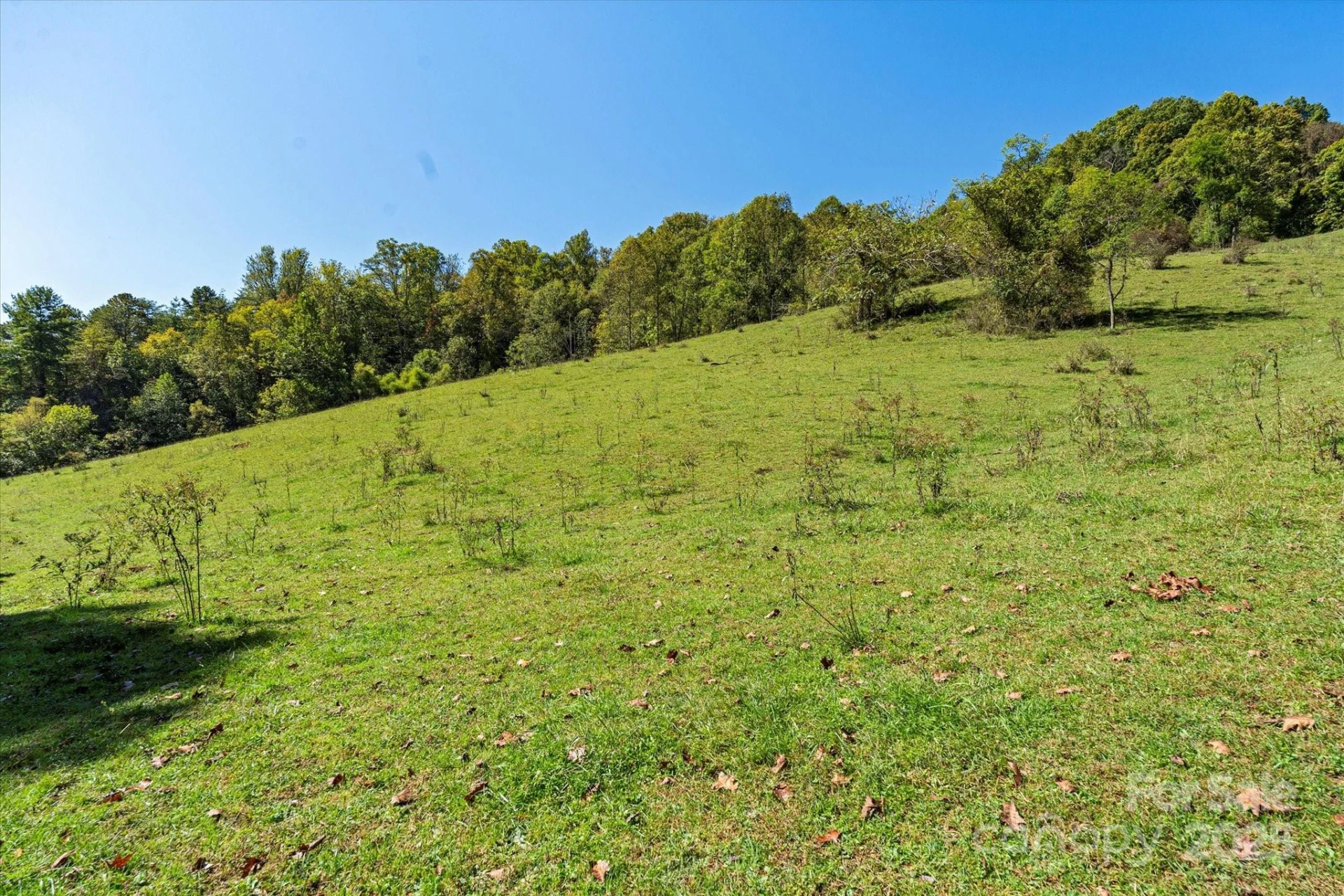 1623 Ammons Branch Road - Photo 16