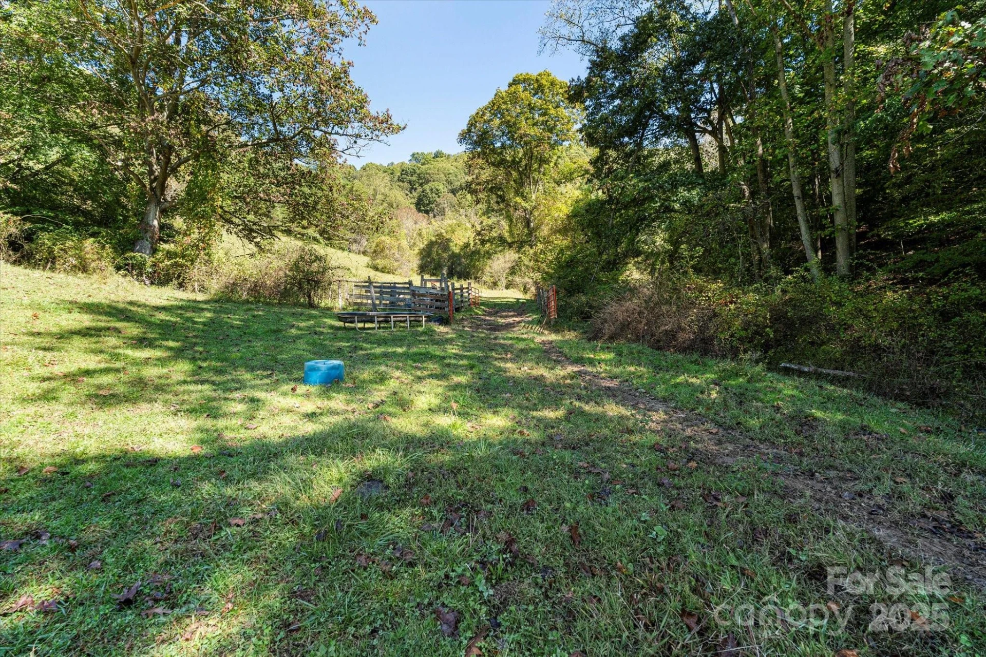 1623 Ammons Branch Road - Photo 17