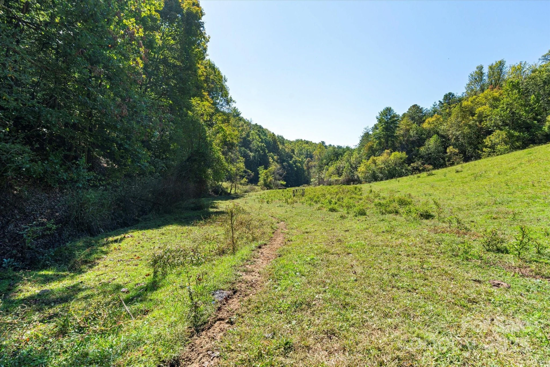 1623 Ammons Branch Road - Photo 18