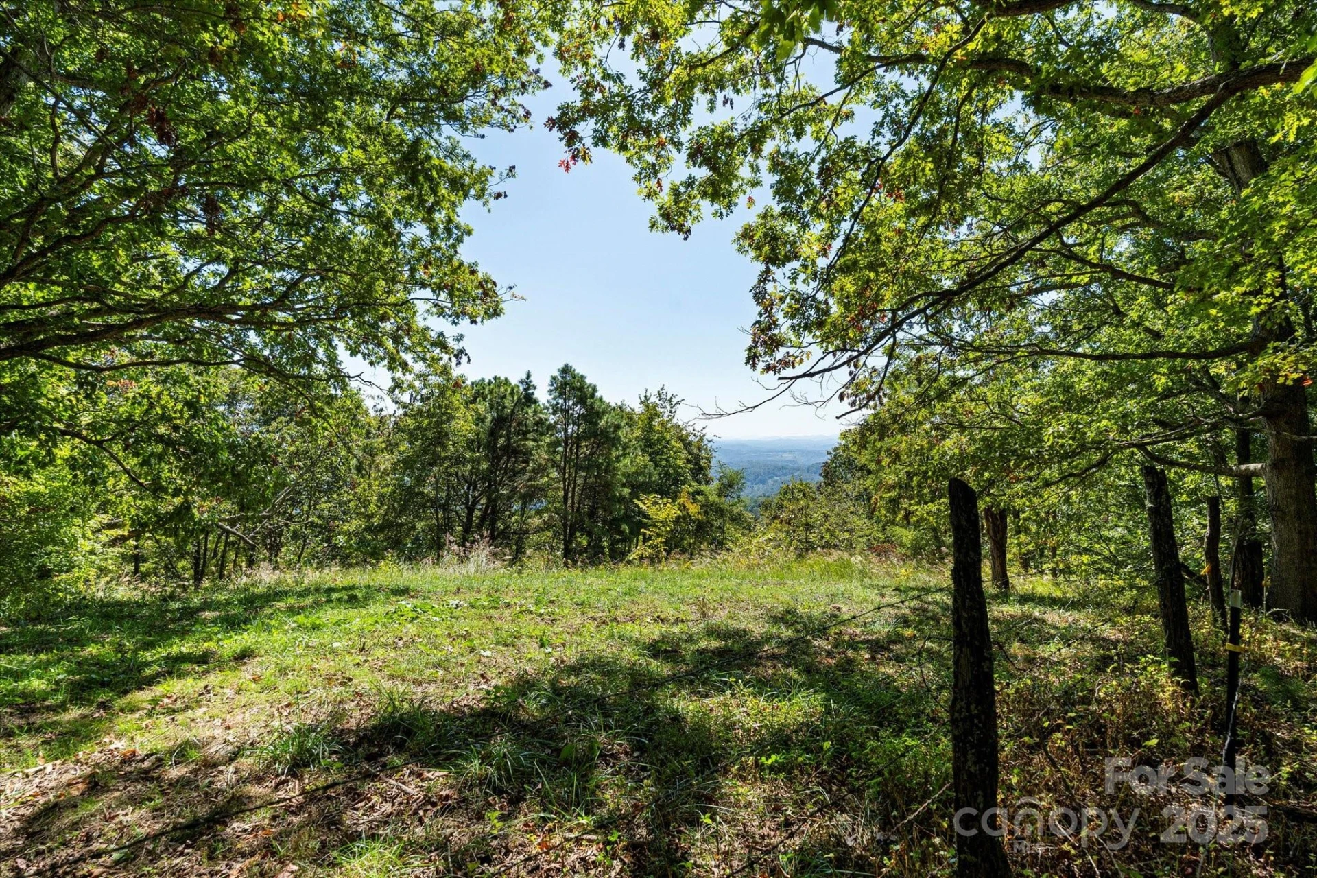 1623 Ammons Branch Road - Photo 22