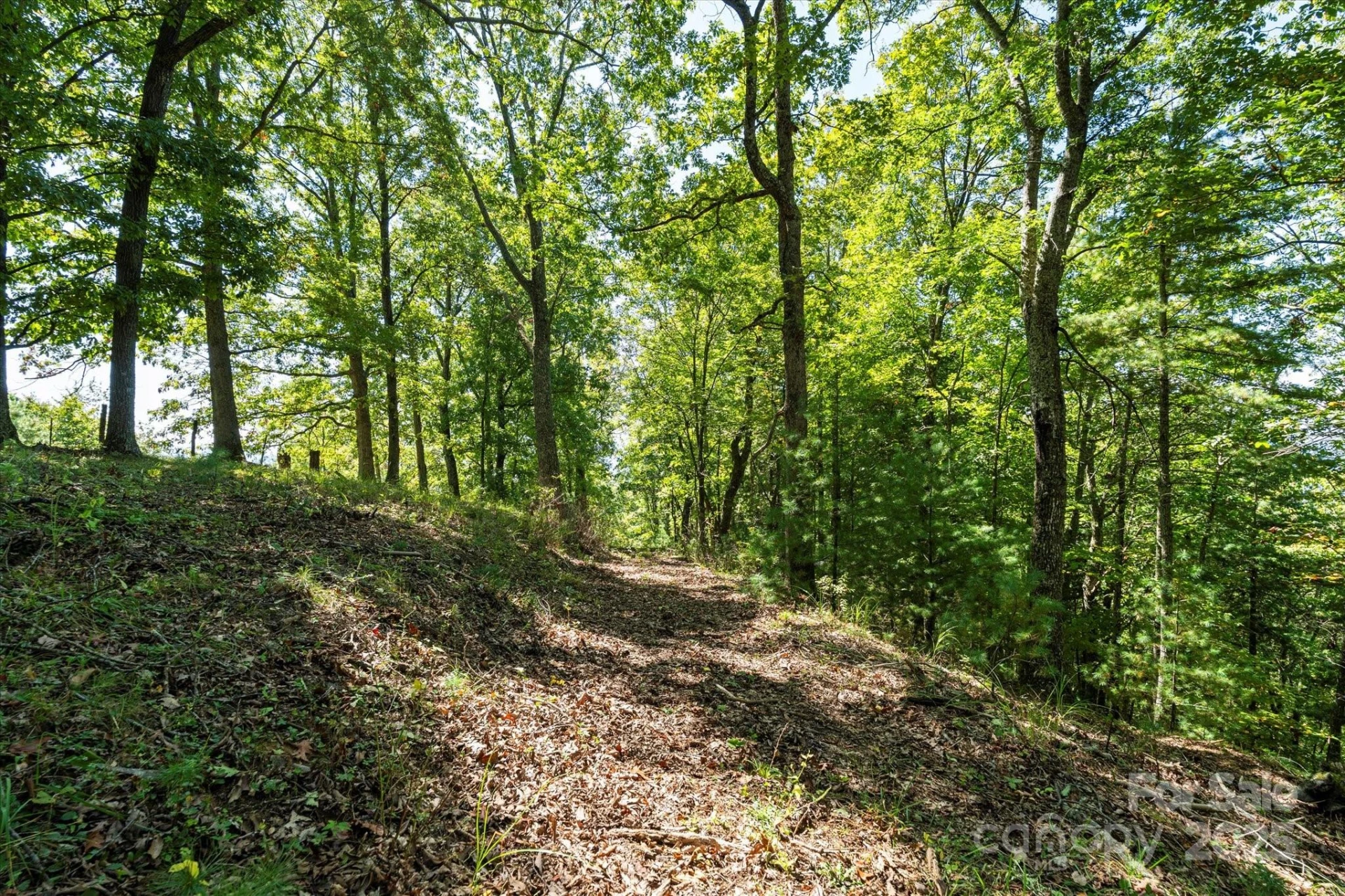 1623 Ammons Branch Road - Photo 23