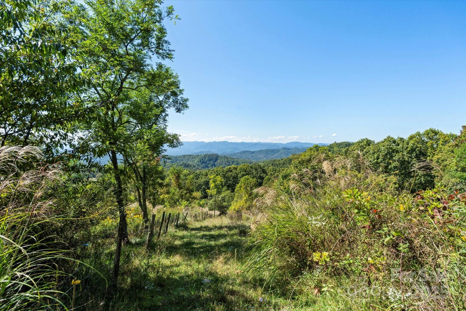 1623 Ammons Branch Road - Photo 2
