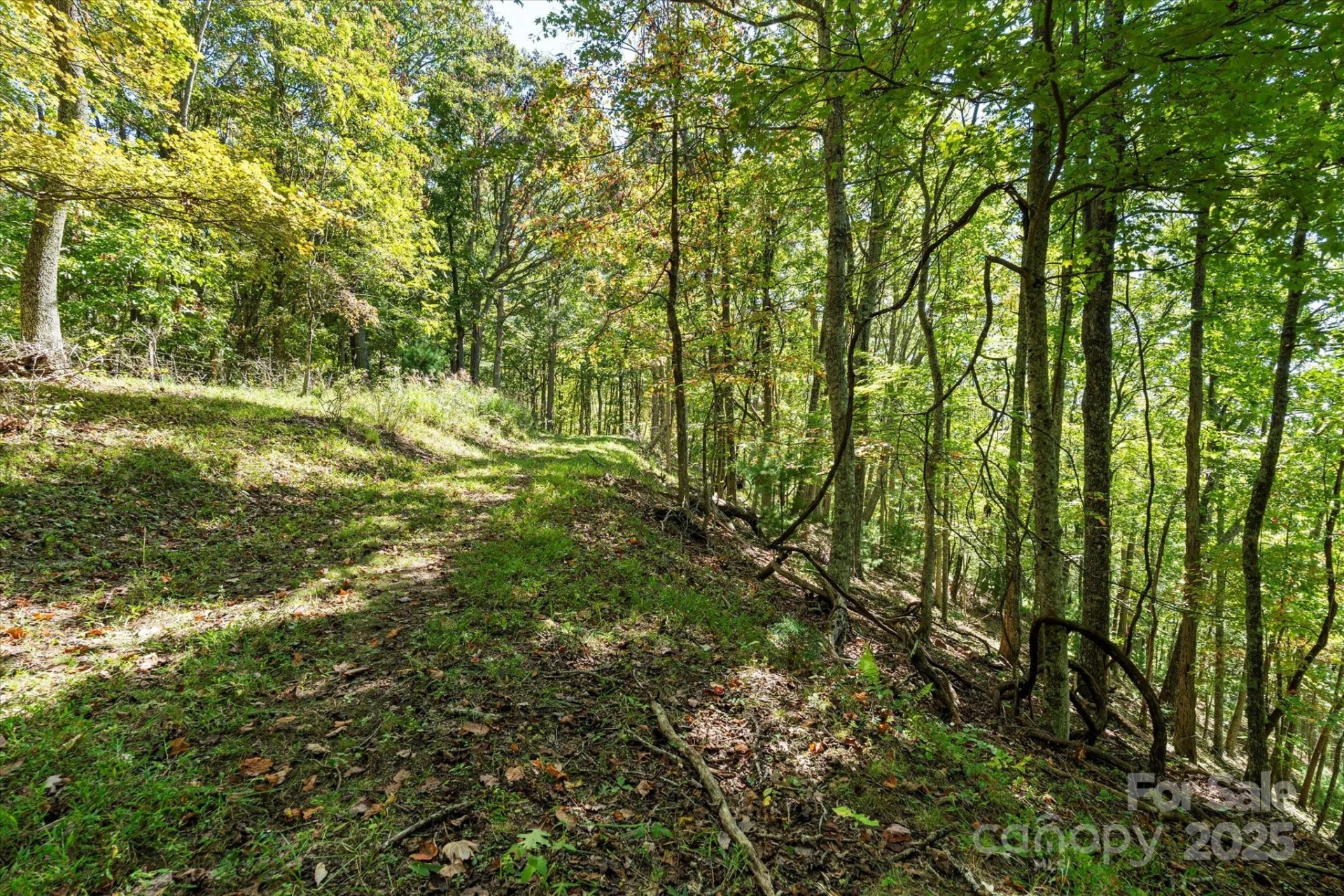 1623 Ammons Branch Road - Photo 10