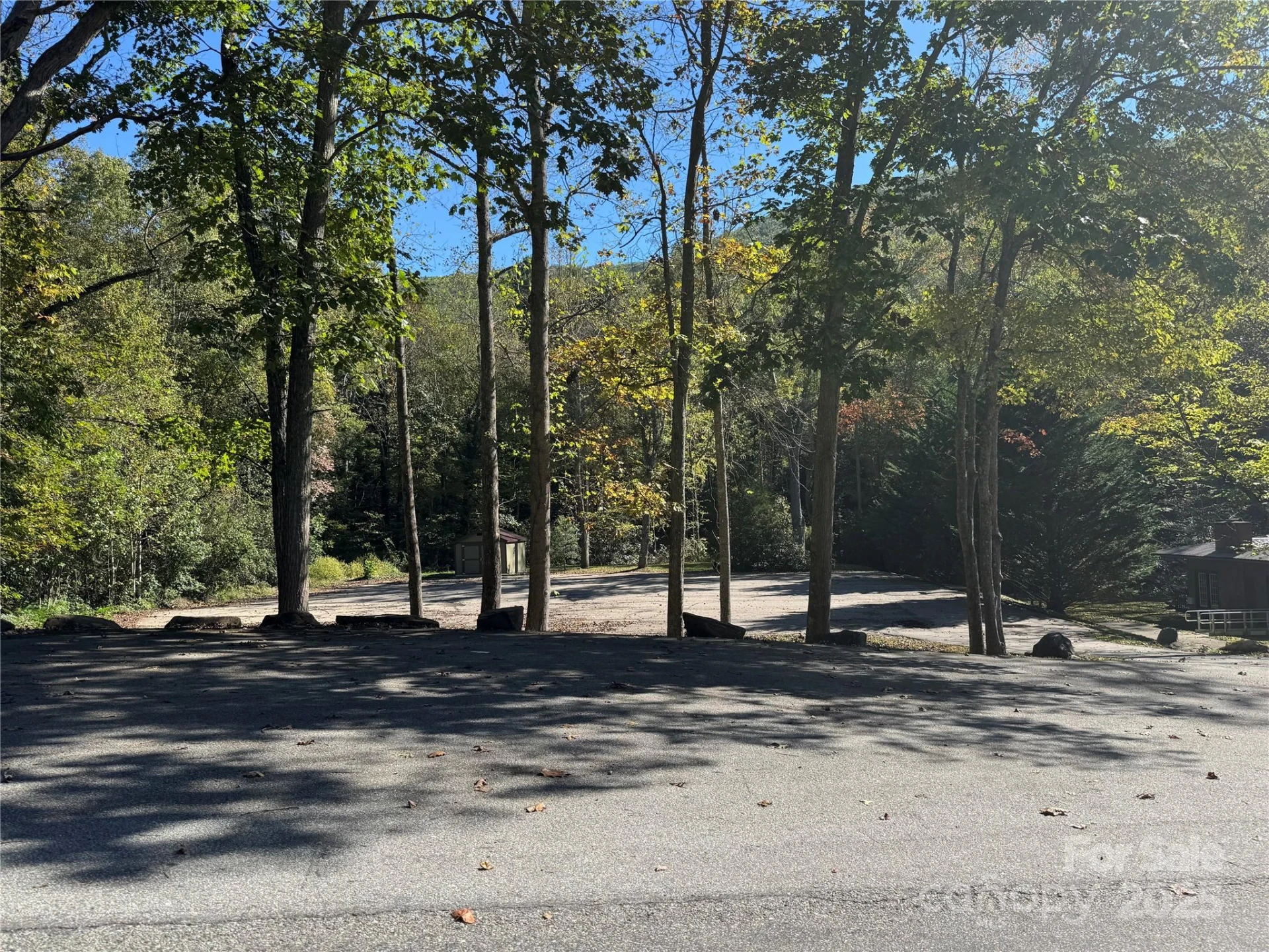 999 Red Oak Forest Road - Photo 9