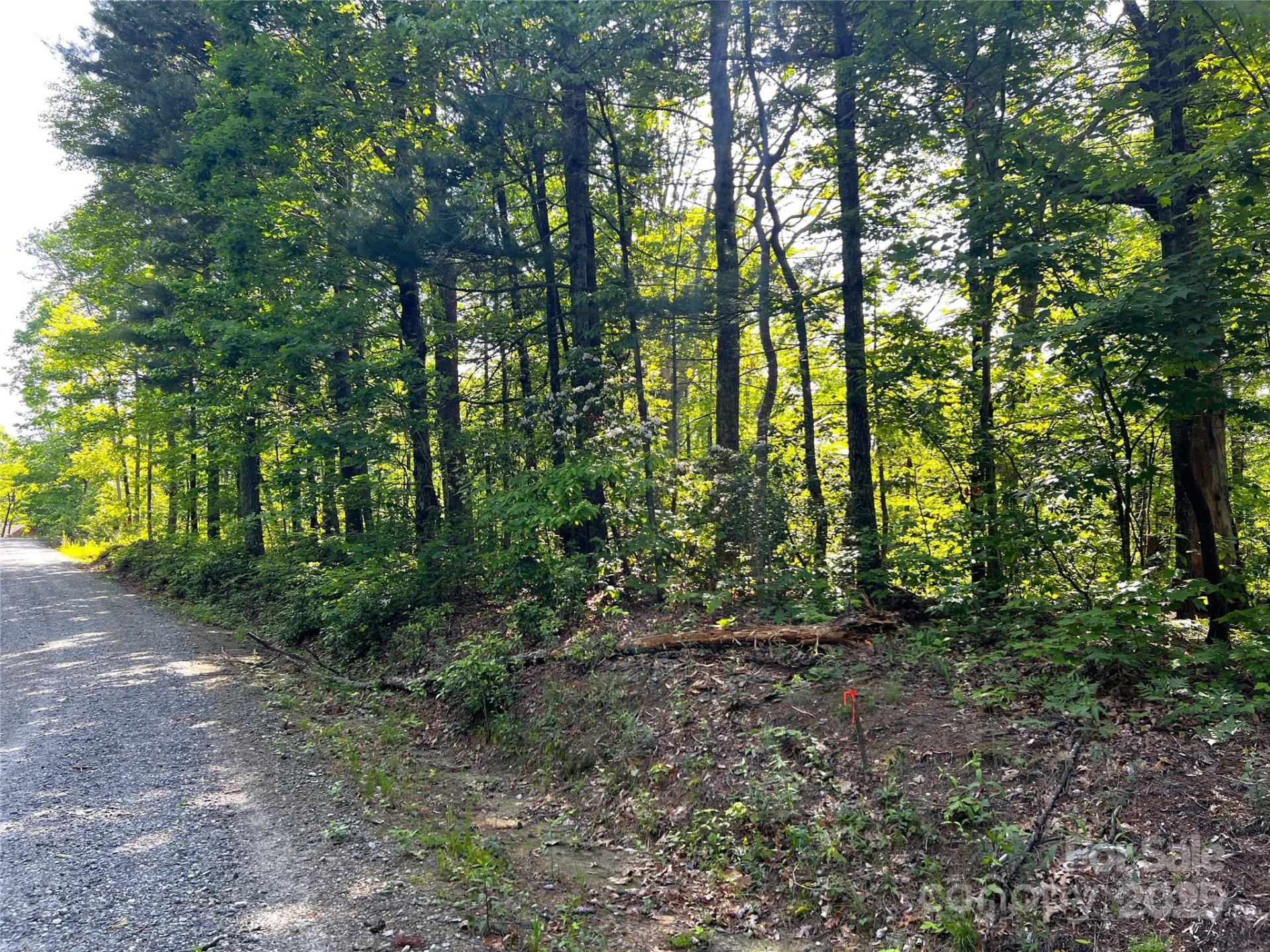 Lot 14R Arrowhead Ridge #14 Revised - Photo 6