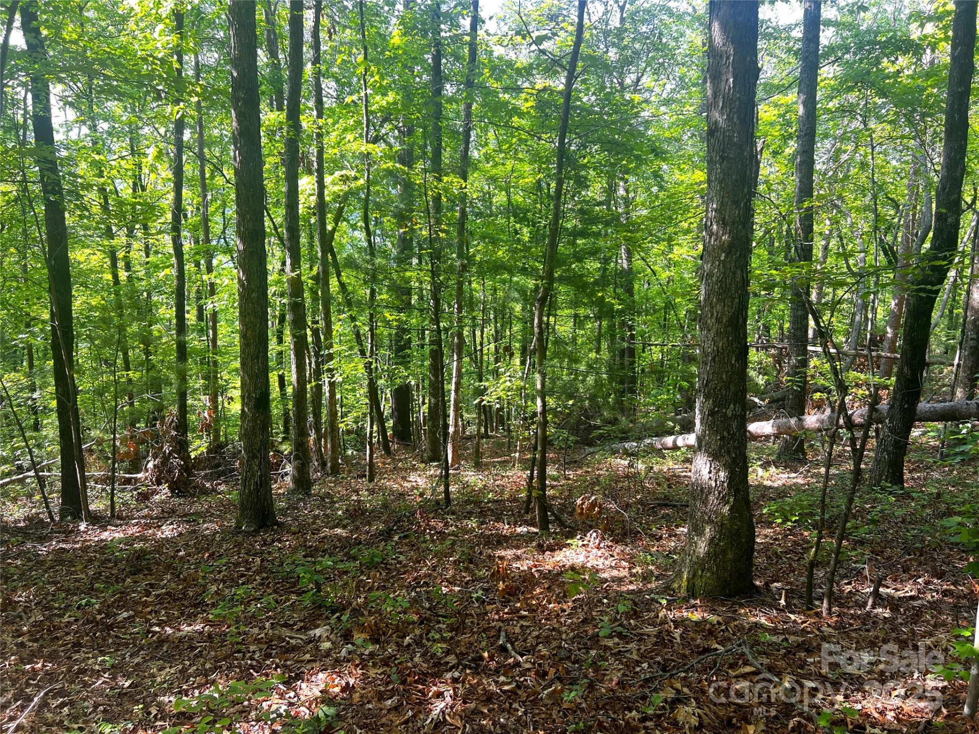 Lot 14R Arrowhead Ridge #14 Revised - Photo 8