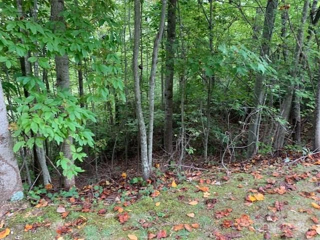 105 CROSSVINE Trail #15 - Photo 13