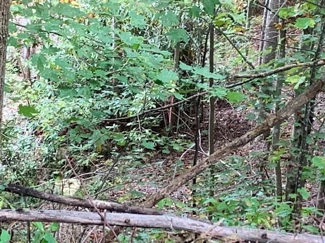 105 CROSSVINE Trail #15 - Photo 36
