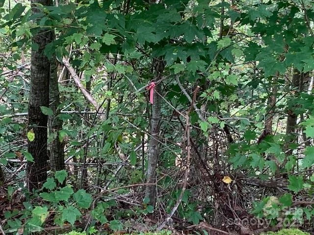 105 CROSSVINE Trail #15 - Photo 9