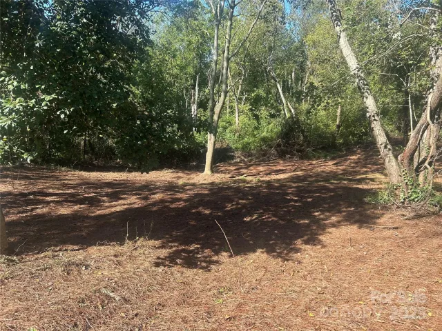 1 View Street, Woodfin, NC, 28804