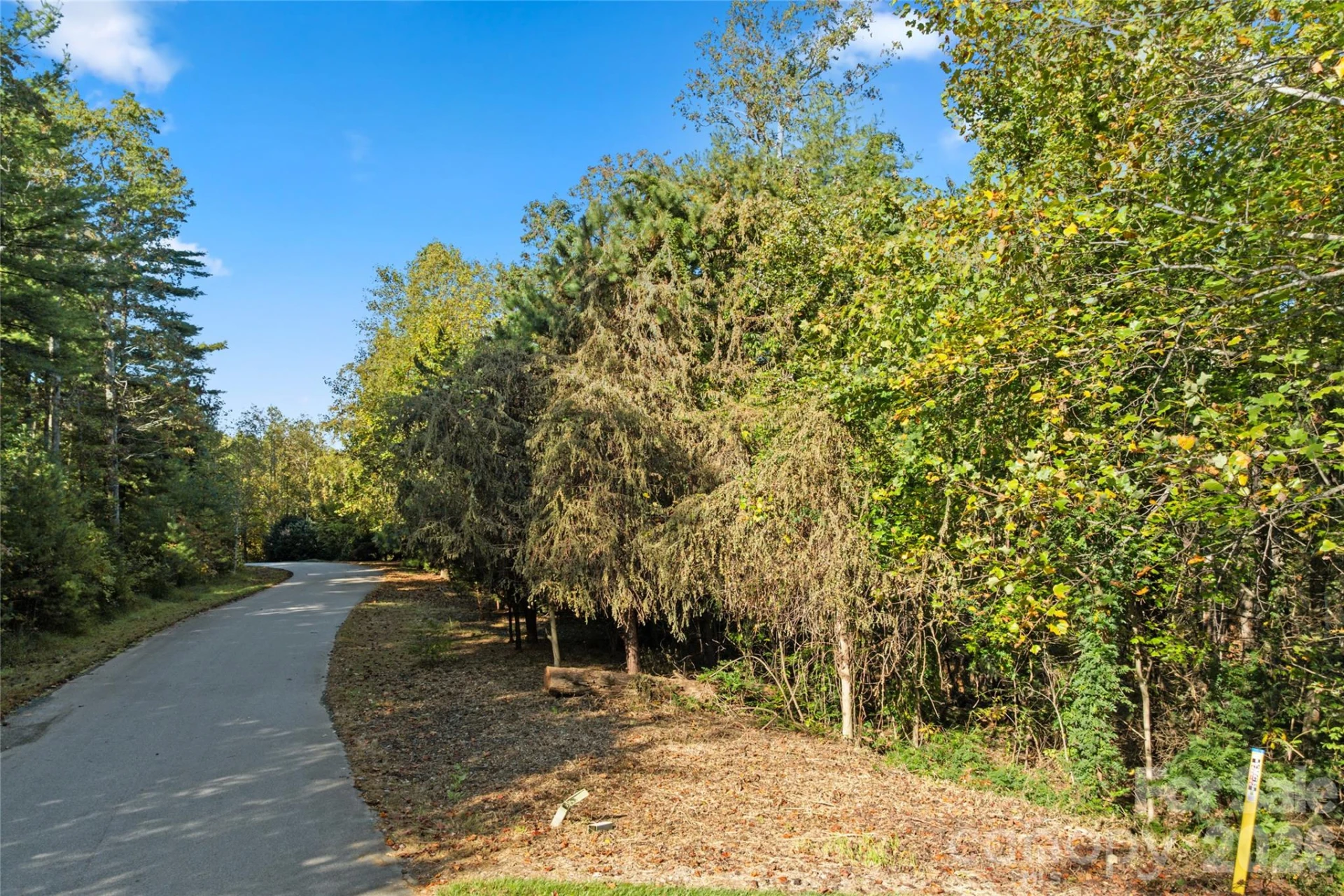 0 Cedar Hill Drive #24 - Photo 4