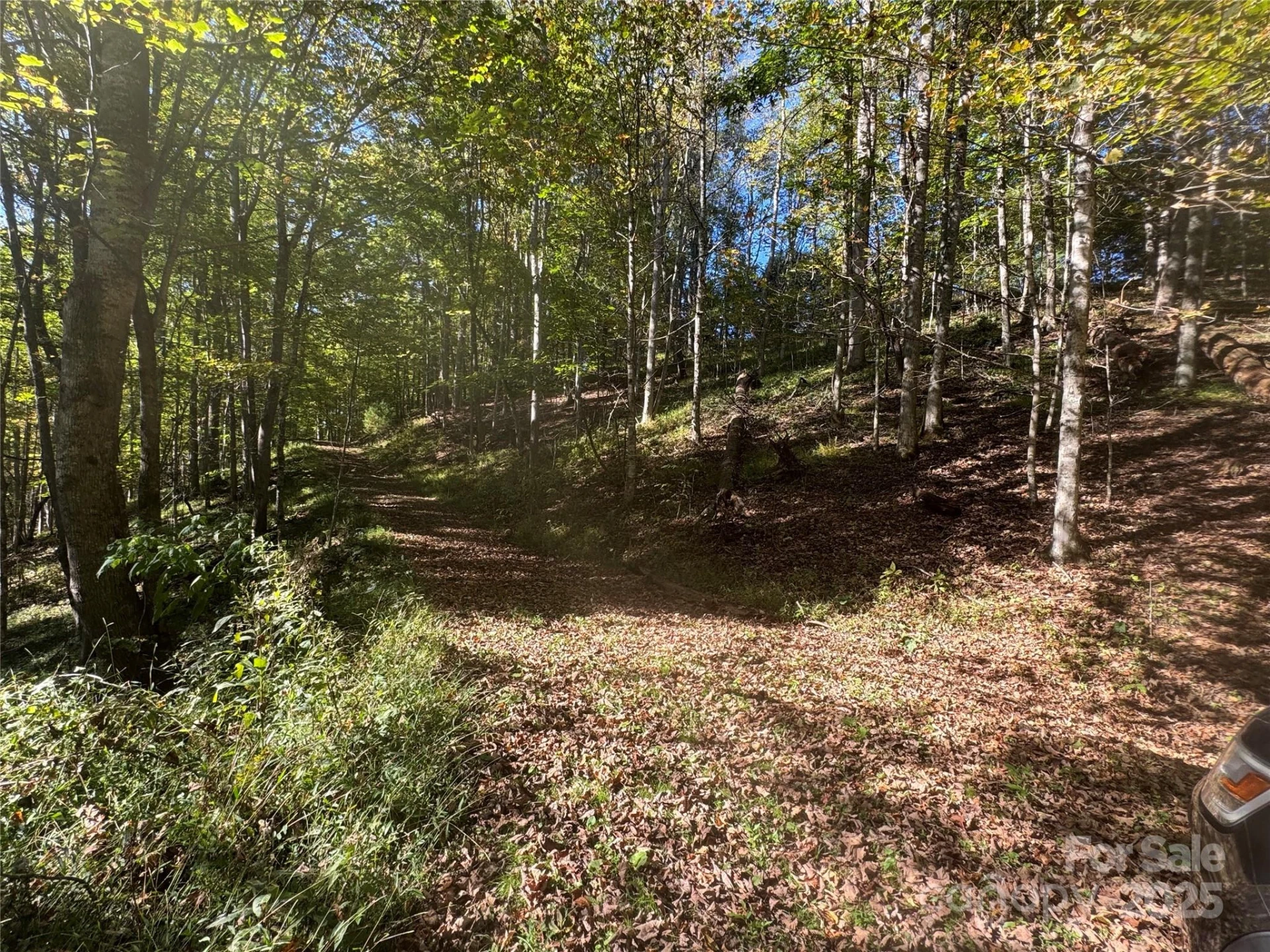 9 Susanna Cove - Photo 2