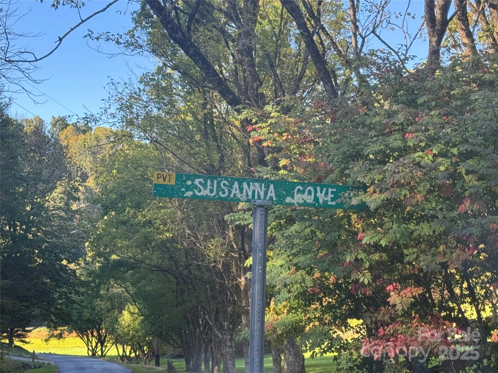 9 Susanna Cove - Photo 14