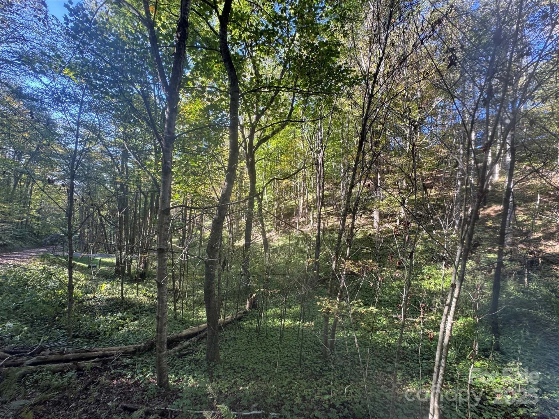 9 Susanna Cove - Photo 10