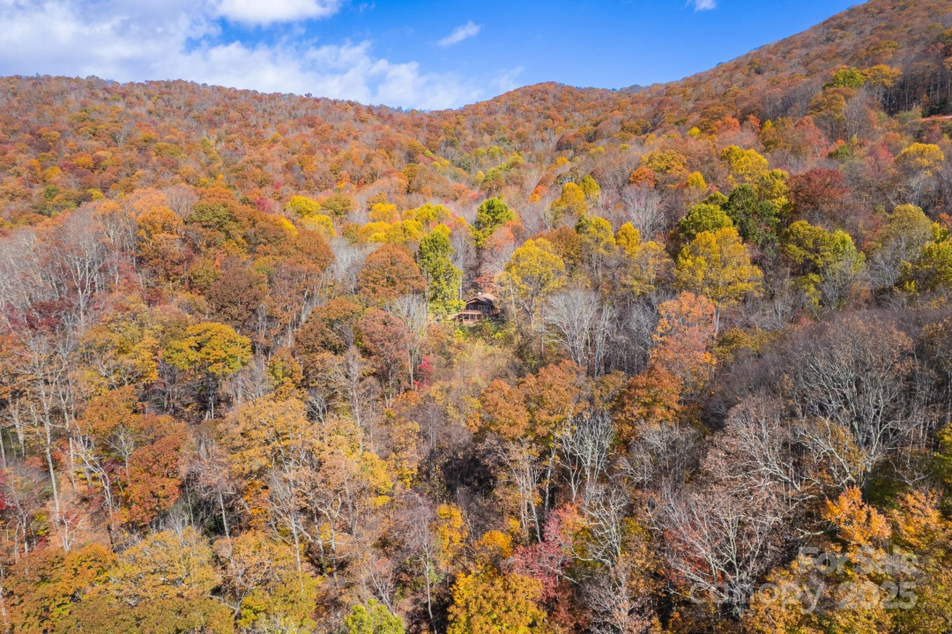 146 Promiseland Road - Photo 6