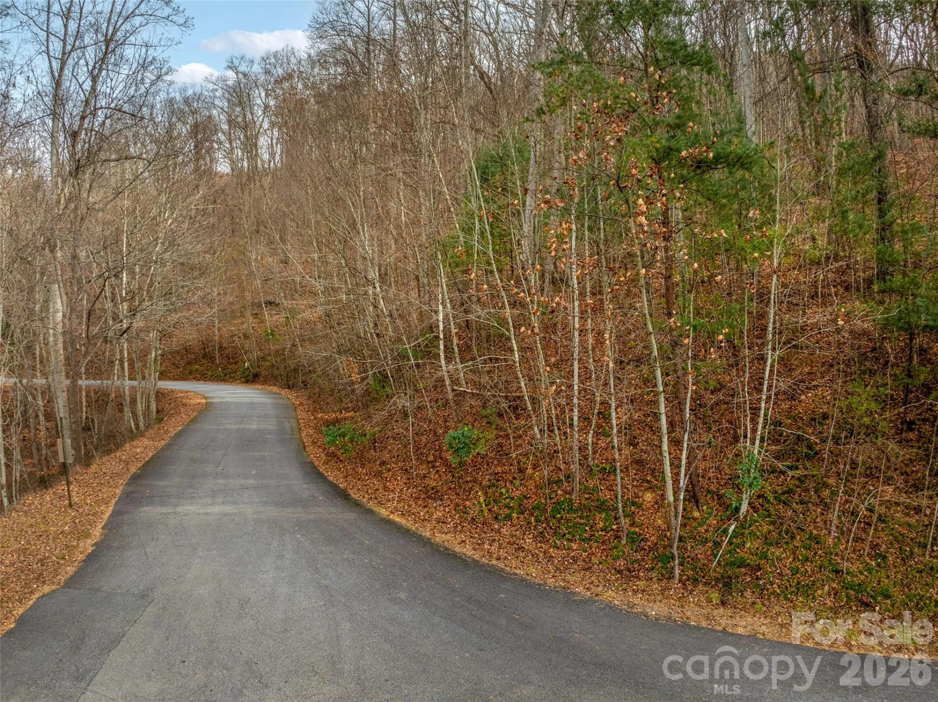 75 S Lindon Cove Road - Photo 13