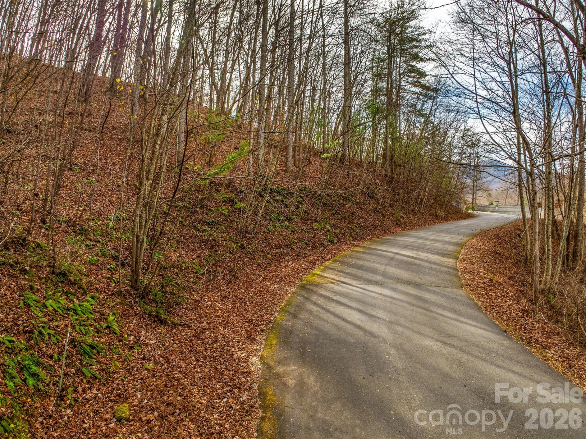 75 S Lindon Cove Road - Photo 14