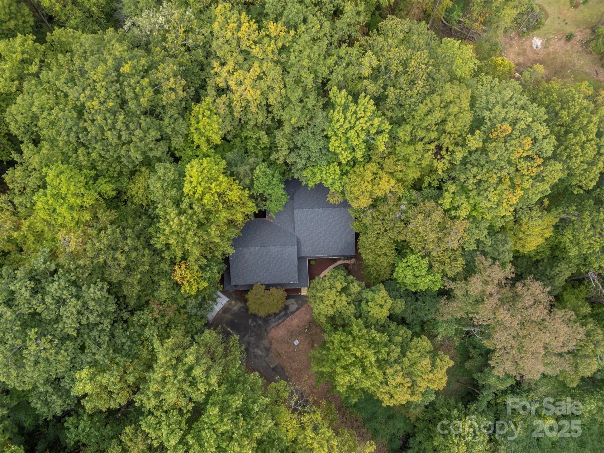 160 Lasae Lane - Photo 45