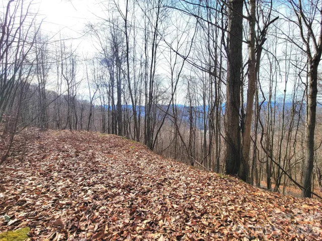 75 Rimrock Ridge