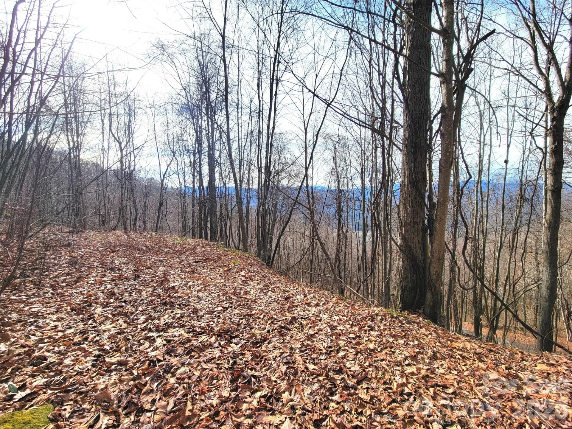 75 Rimrock Ridge #I