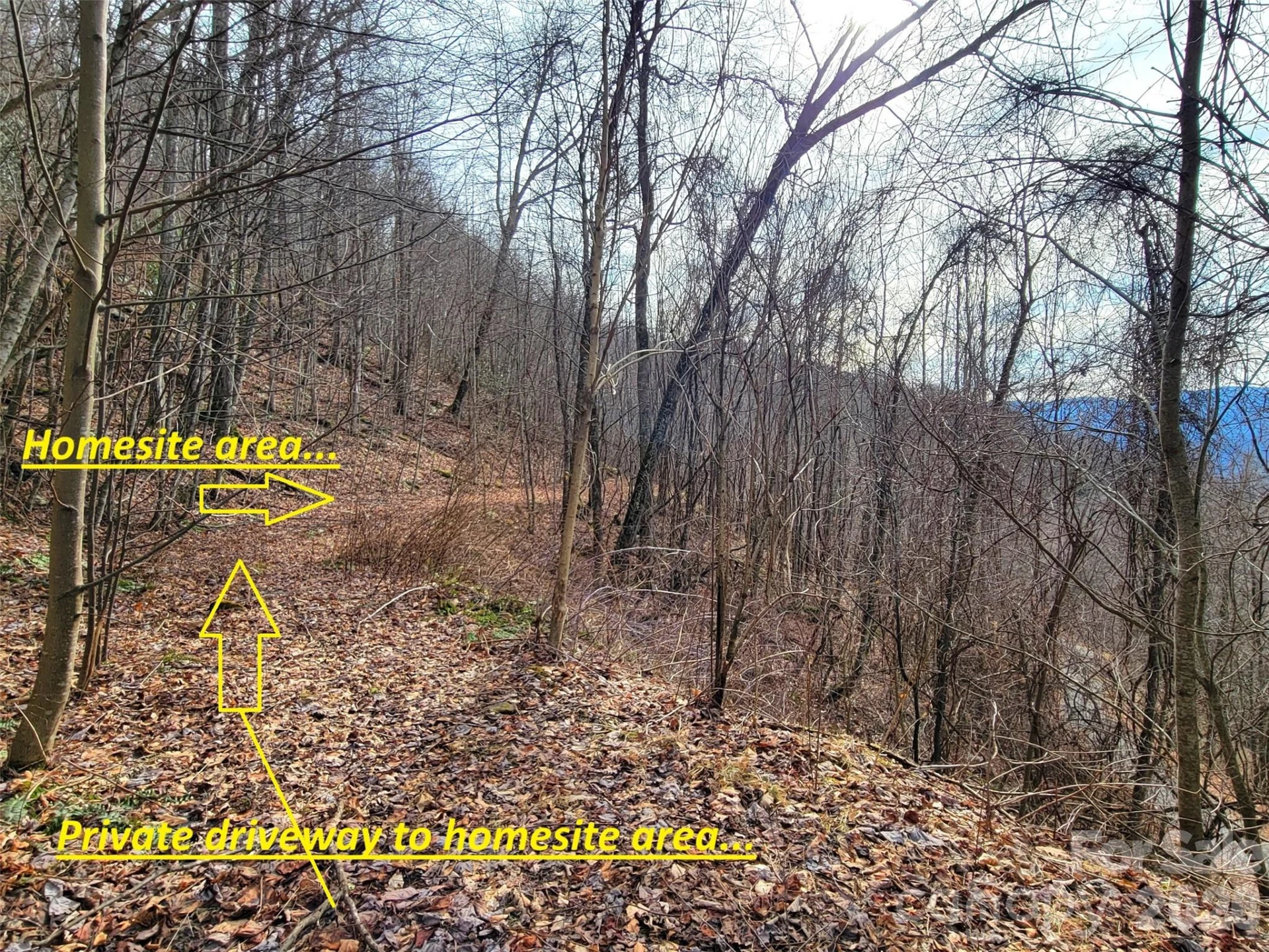 75 Rimrock Ridge #I - Photo 2